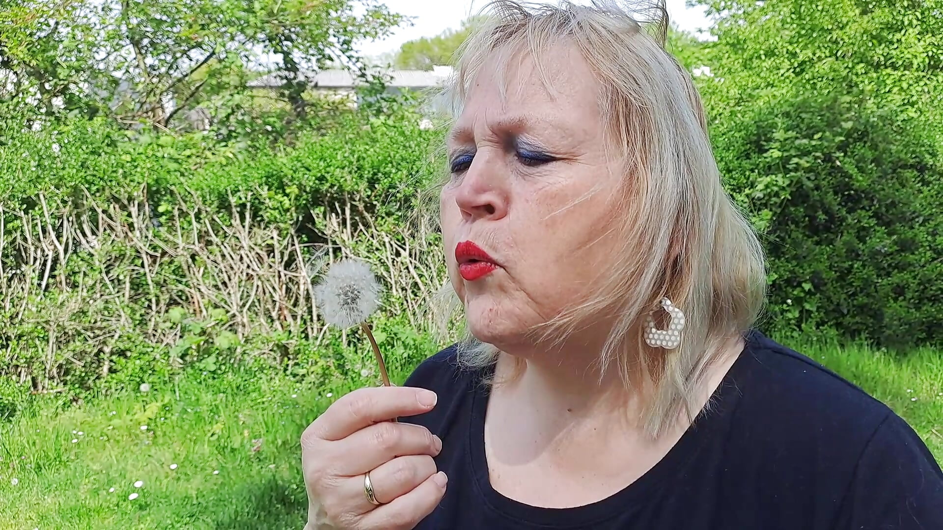 Pusteblume - video av Blasflittchen cam model