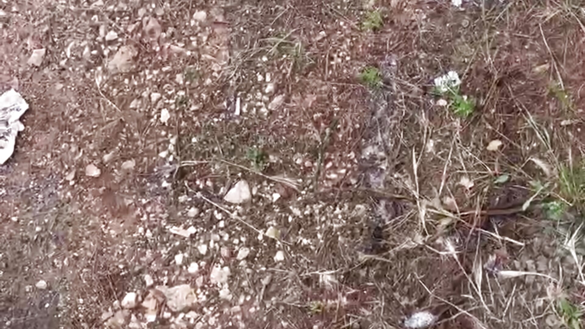 Urina all’aperto - video av divertentscop cam model