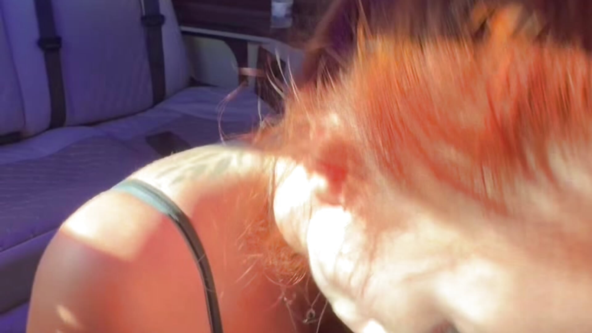 Stranger BJ BoyGirl im Transfer einem Fremden schön versaut und intensiv geblasen und in mein Mund ! – video af Laurahorney_xo cam-model