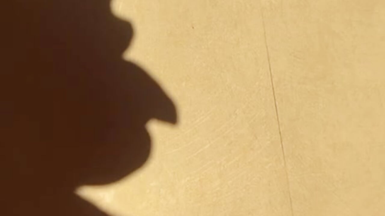 I play with shadows, but I could play with you ;) - video by PrettyLilie cam model