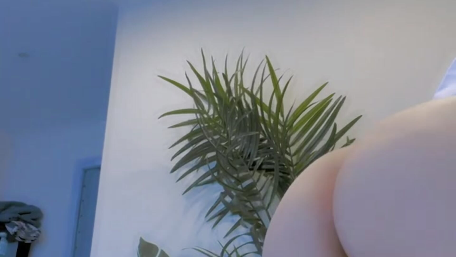 Like that;) - video by Radiants_two cam model
