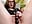 ❗️JESS FIRST 3x SQUIRT❗️ - video by Radiants_two cam model