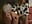 Ari massage Jess's ass - video by Radiants_two cam model