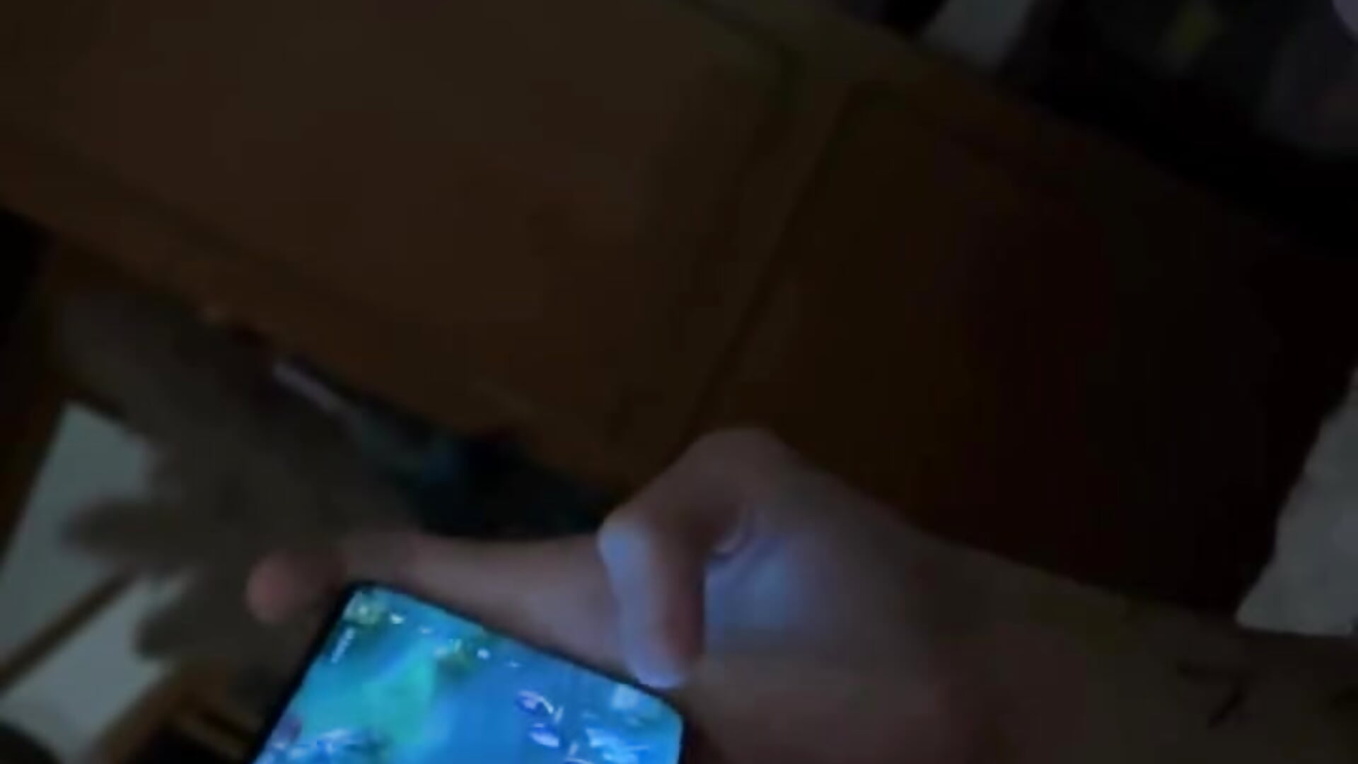 Follow us everywhere - video by NoirElysia