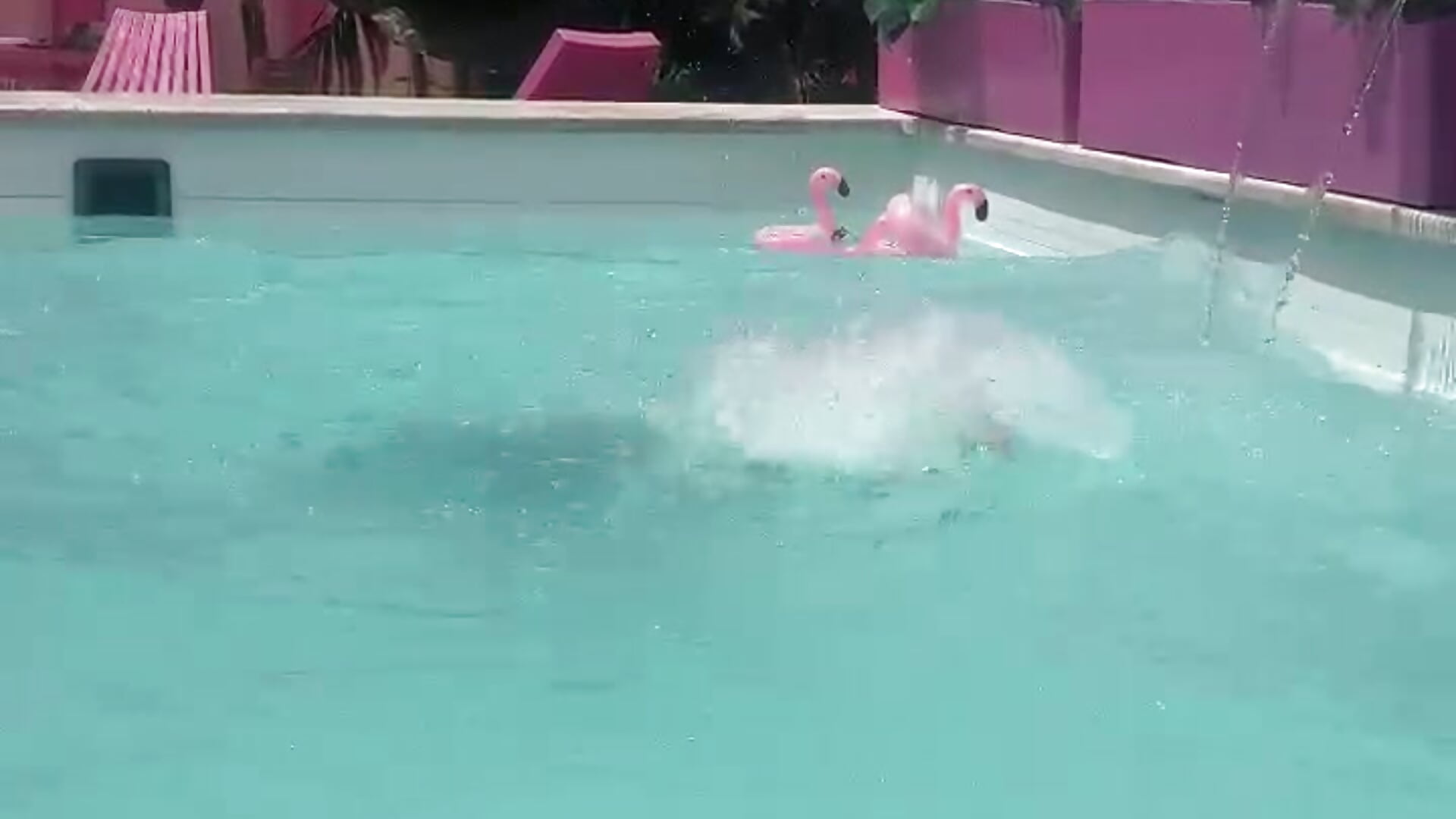 sexy in the pool - video by Naomi_Tylers cam model