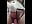 Riding dildo and playing with my creamy pussy - vídeo de LISA_BULLOCK_