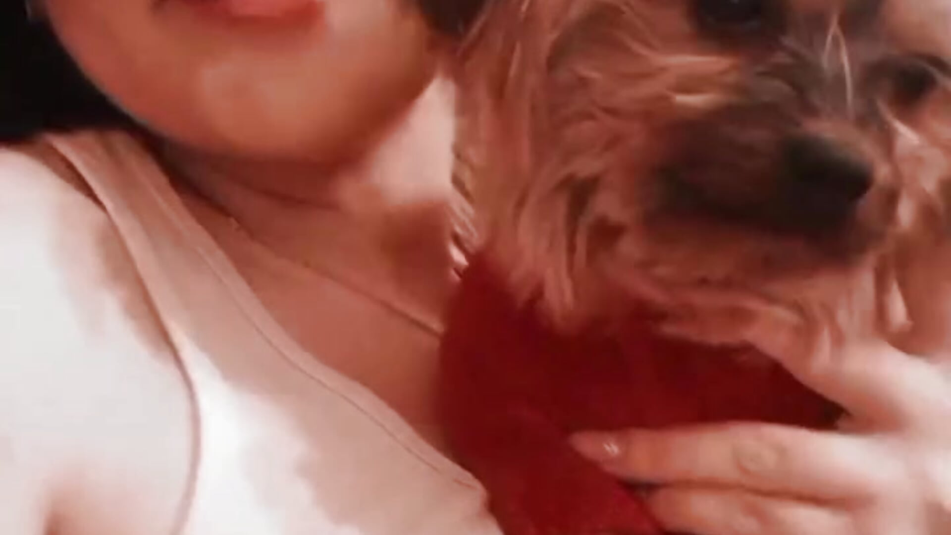 video_2023-04-15_12-06-23 - video by Dreamy____devil cam model