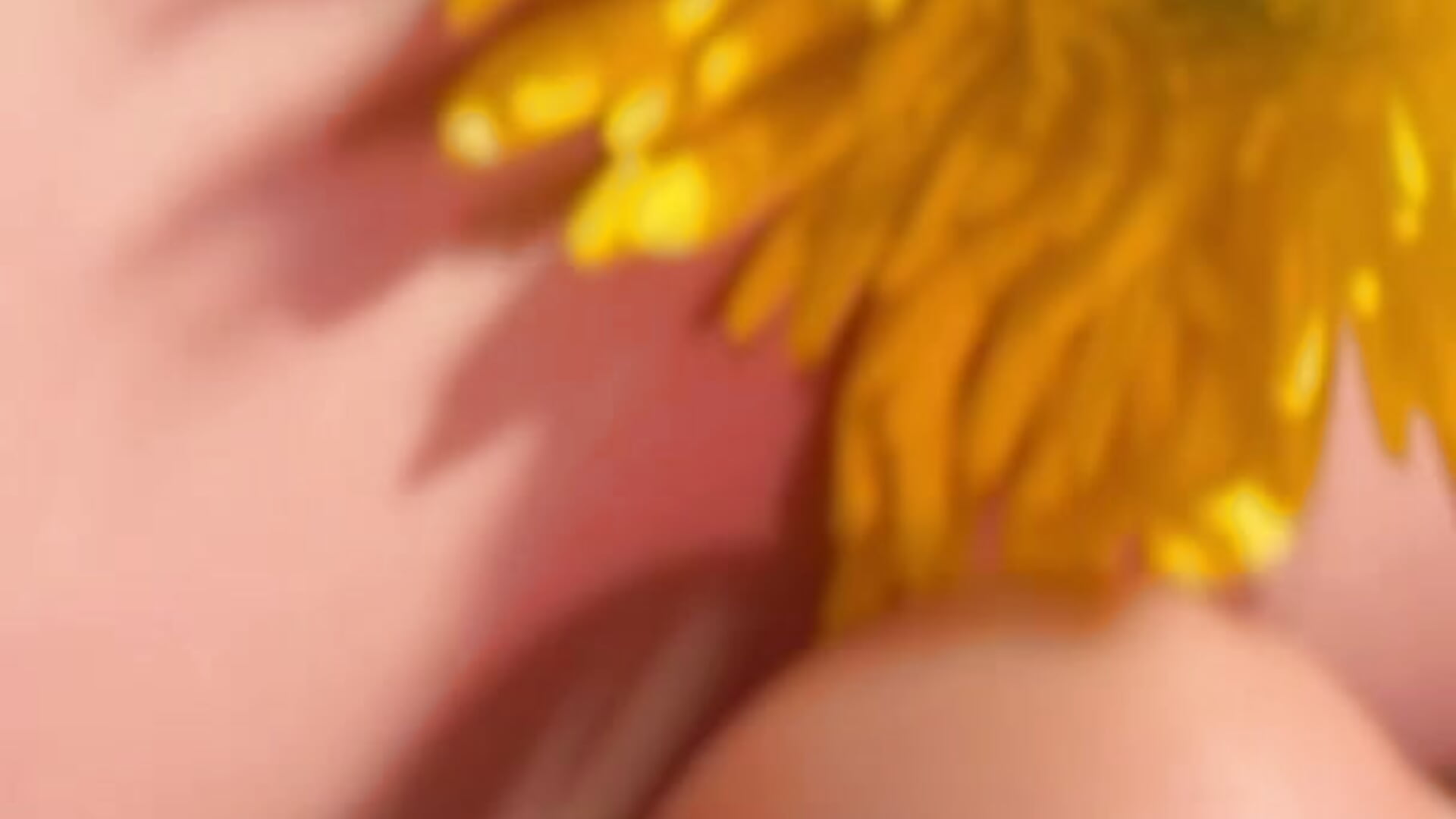 A PREVIEW 🌻