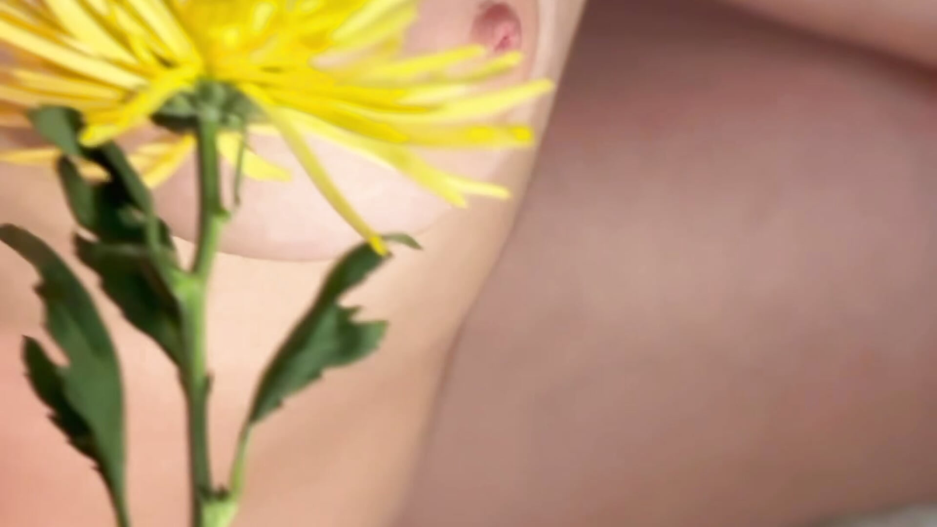 MY FLOWER KNEW ALL MY INTIMITIES 🌻💦