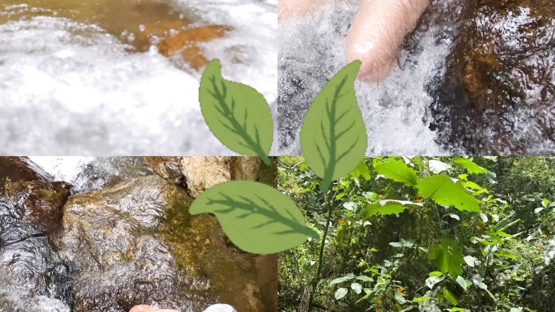 Flowing 🍃