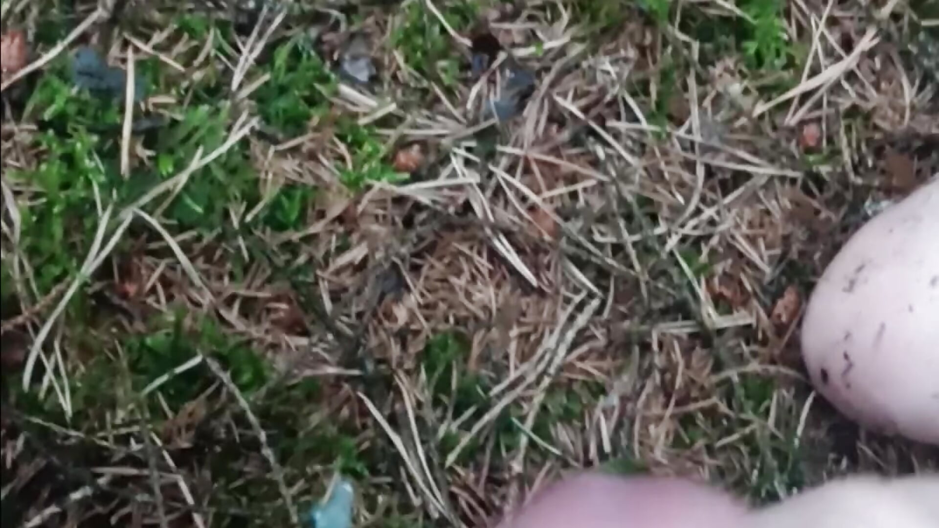 Outside cumming - video by jackst3r cam model