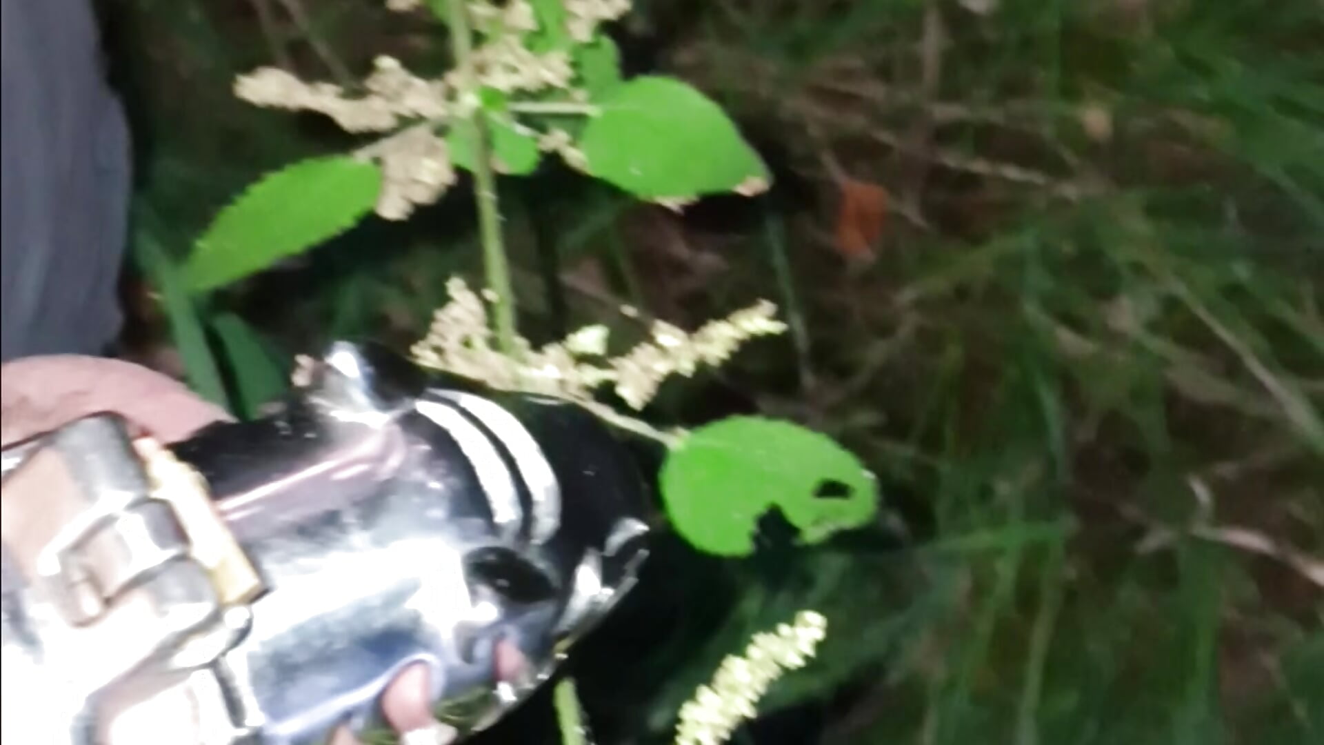 Brennnessel 2 - video van jackst3r cam-model