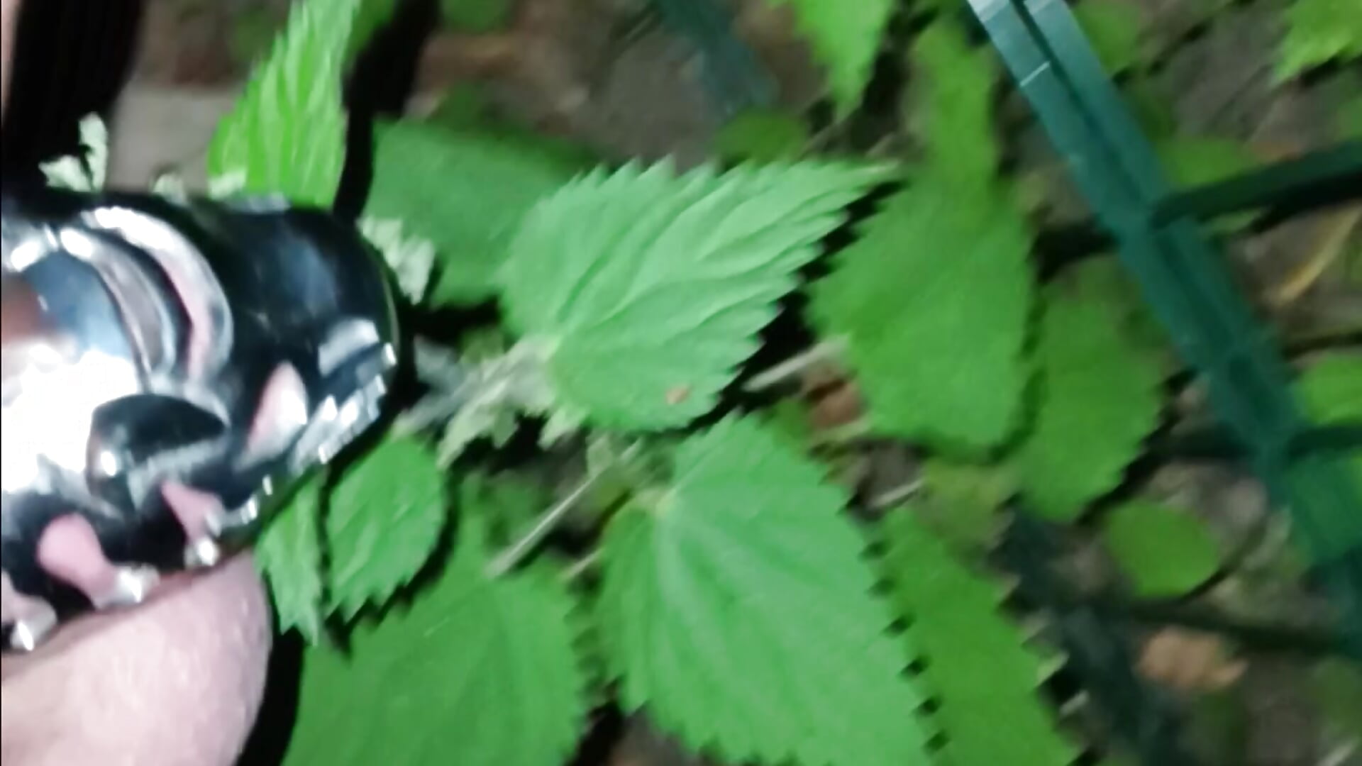 Etwas Brennnessel an die Eier - video van jackst3r cam-model