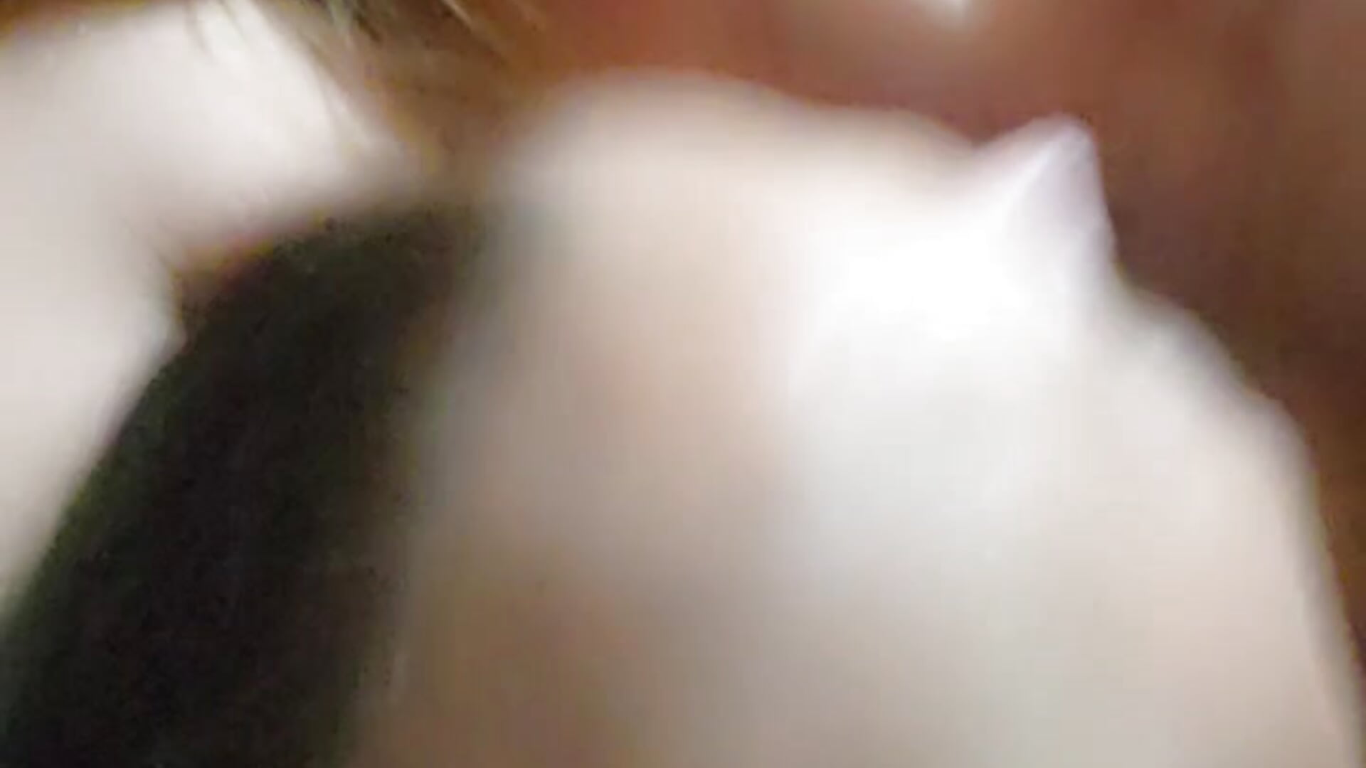 Titty babes