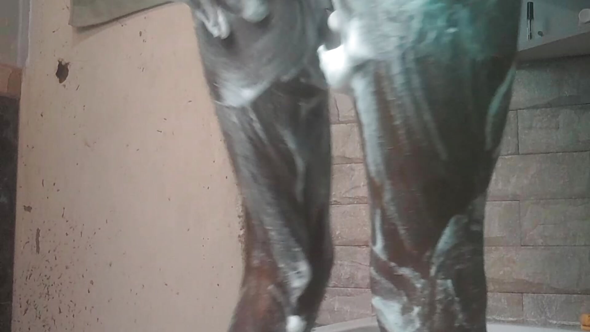 1000008746 - video by charraa1 cam model