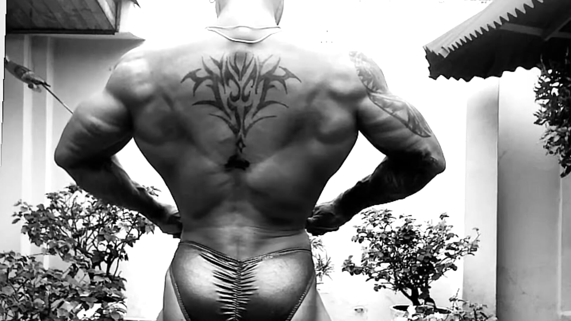 WhatsApp Video 2023-02-20 at 6,17,10 PM - clip cu naugthy_dominant model videochat