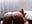 Reverse Cowgirl (Sound On) - video by SallyCumLaude cam model