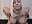 Ahegao & Lots Of Drool (Sound On) - video by SallyCumLaude cam model