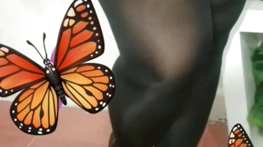 pantyhose sexy