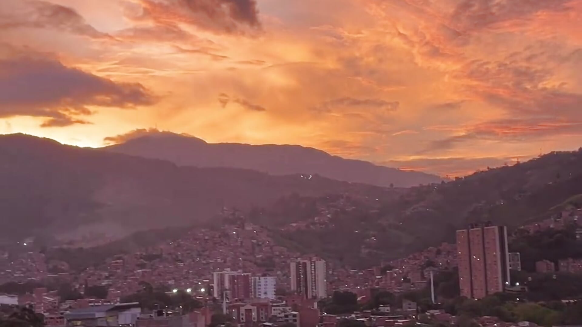 My City