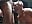 Suckin Dick each other - video by phranof_ cam model