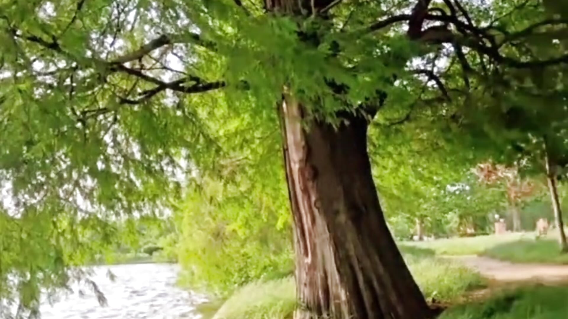 My charging place — filmik IreneHope, modela(-lki) na kamerkach