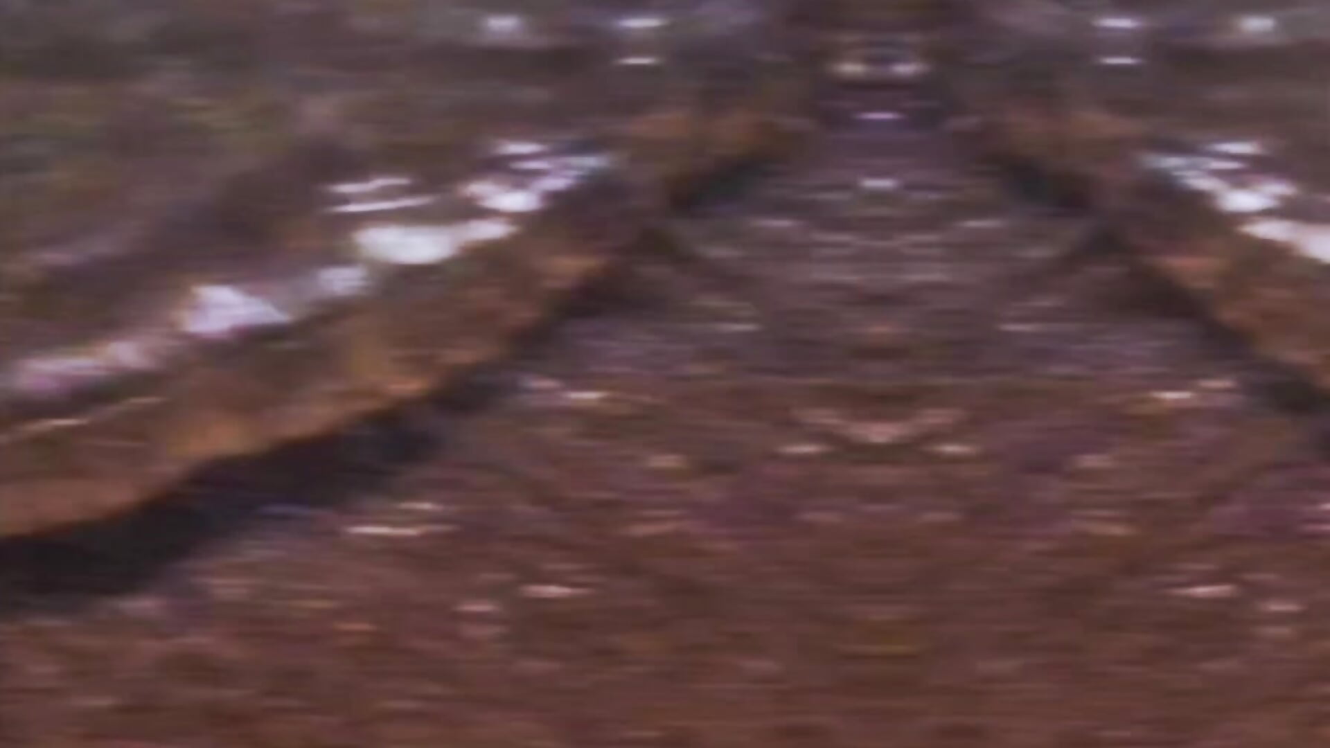 A walk by the beach — filmik IreneHope, modela(-lki) na kamerkach