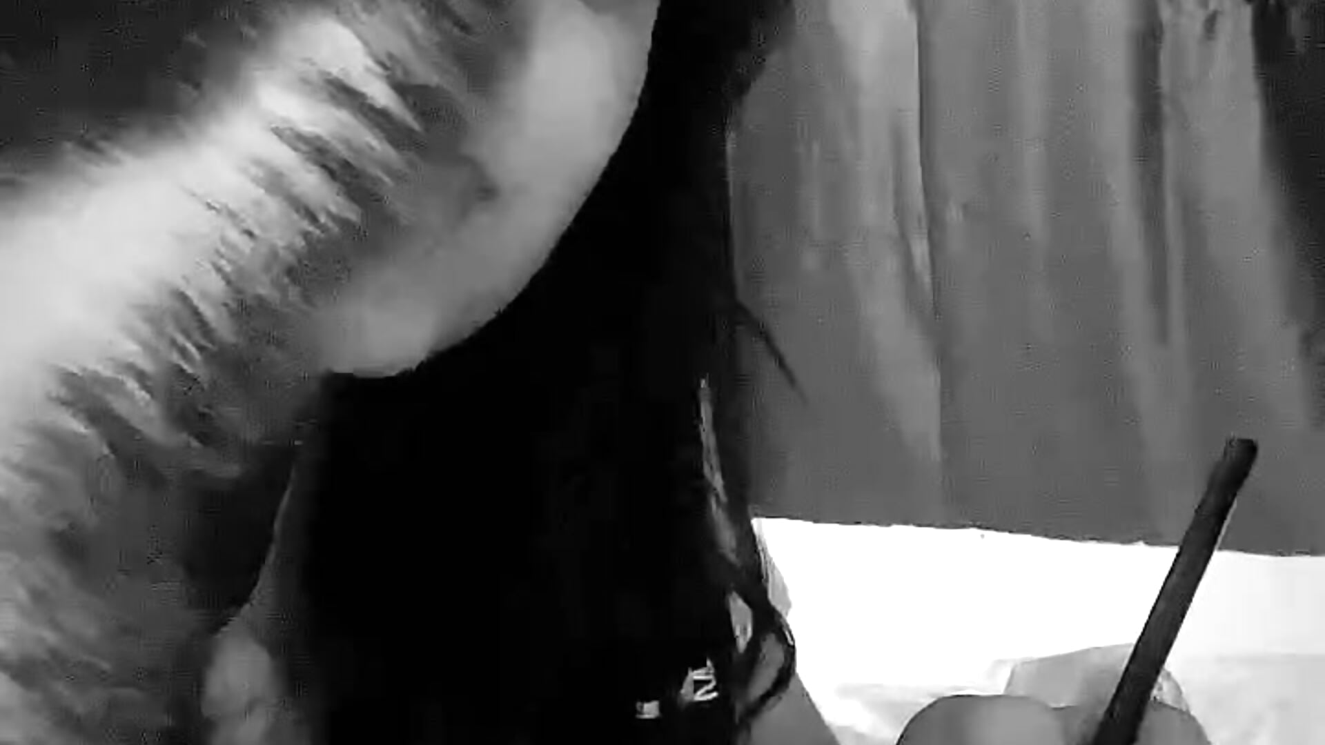 <333 - video by HazzelGray cam model