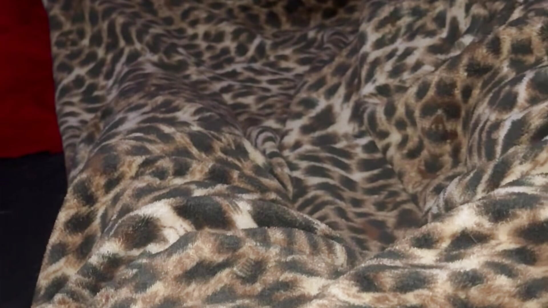 IMG_4368 - video by gigetto1977 cam model