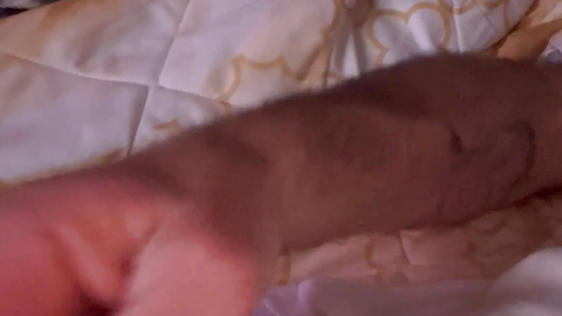 IMG_4709 - video by gigetto1977 cam model