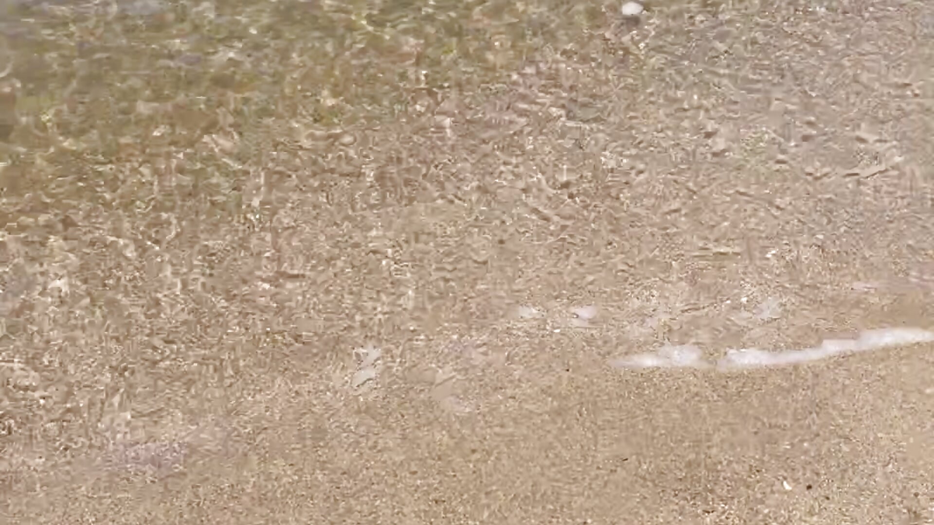 2023/08/01 海をお裾分け♡