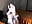 for lovers of bare feet - Vídeo de Kira_Winner