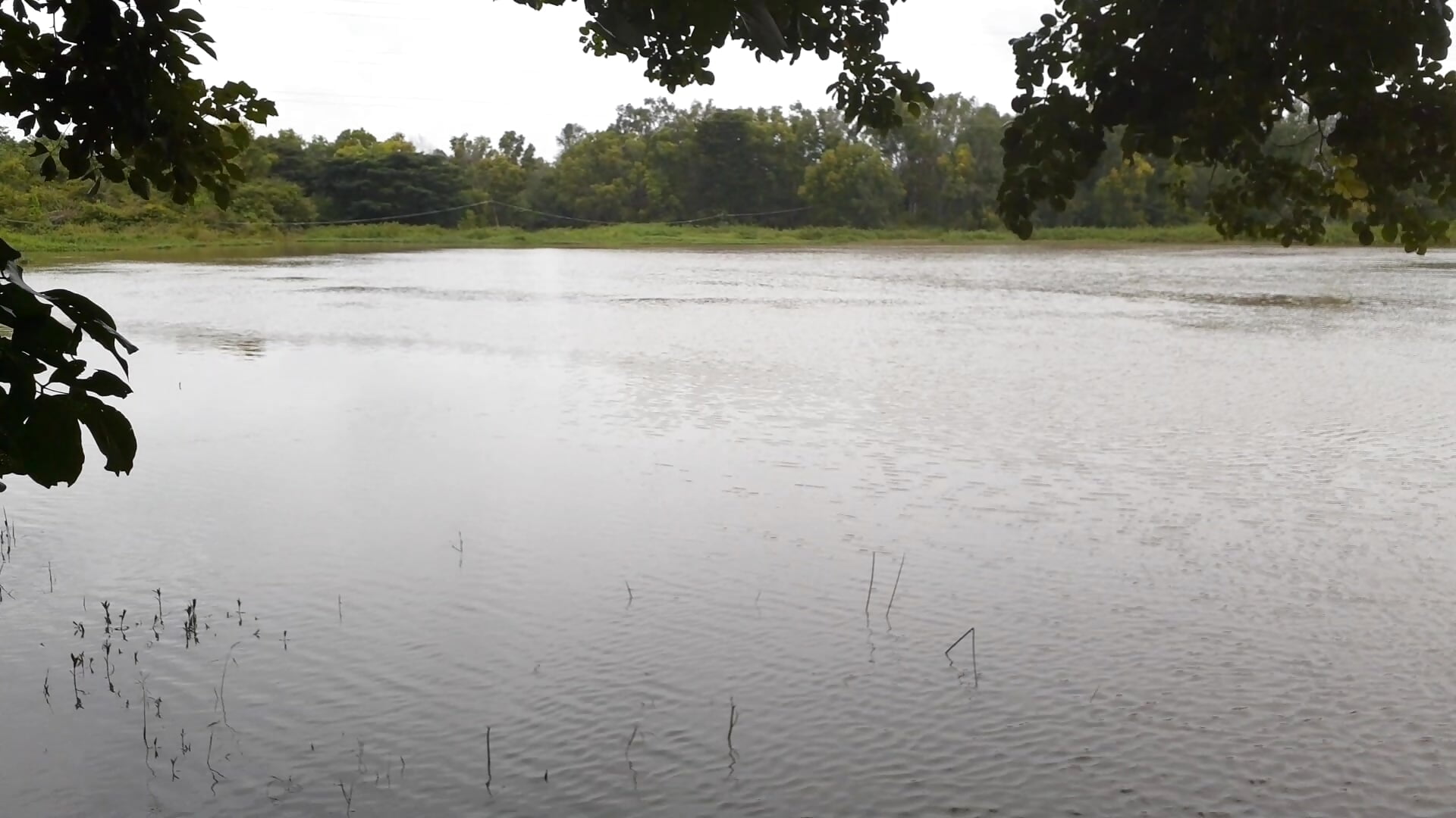 Serene nature - Sheideheda 캠 모델의 동영상