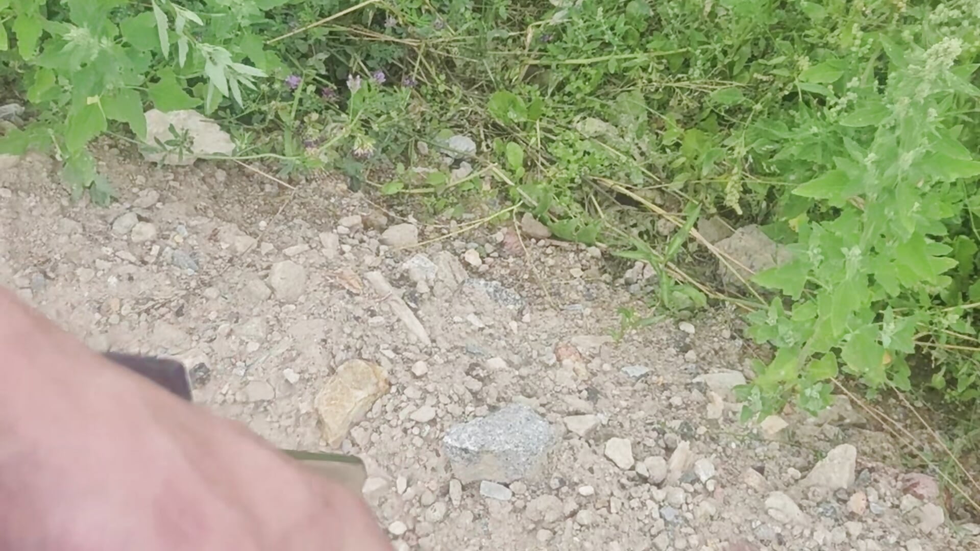 Kurze Pausen am Feld.. musste leider abbrechen