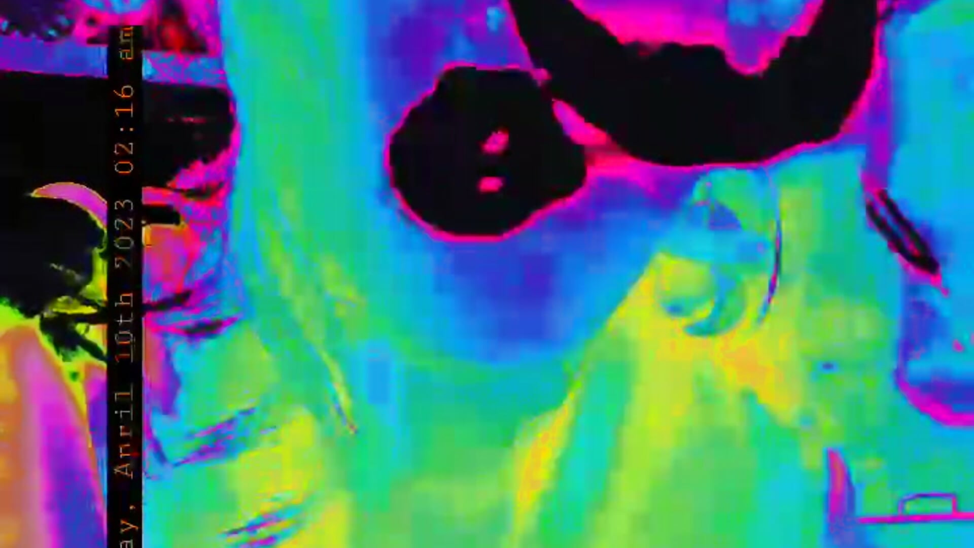 SmokeToteChoke - video by StripKi cam model