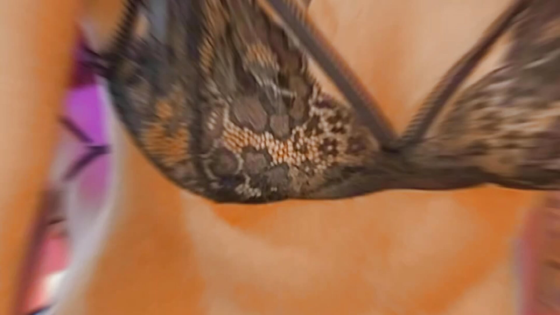 Blowing kisses <3 - video by Summer_lovin69 cam model