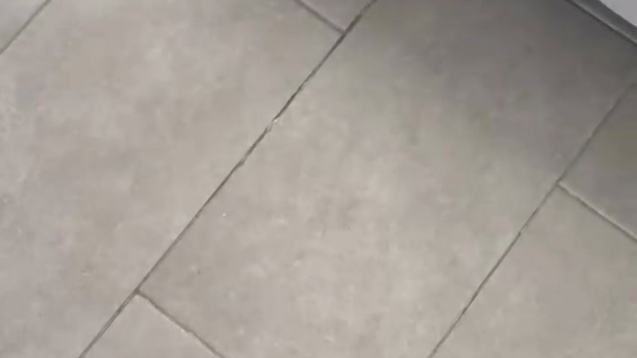 Today the spotlight goes to Mocca and I am happy to share her with you. 🤎✨ - video by Amareto_ cam model