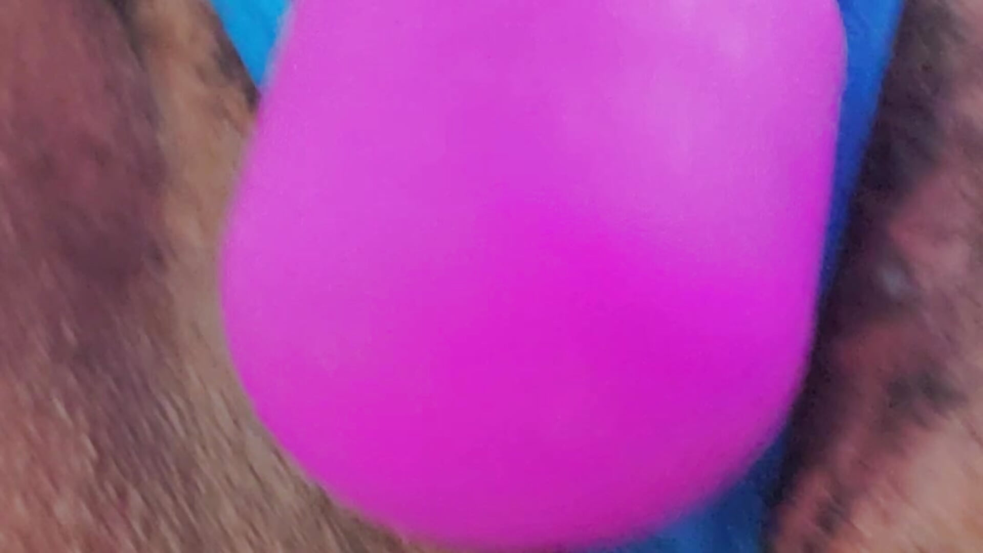 Vibrator tease