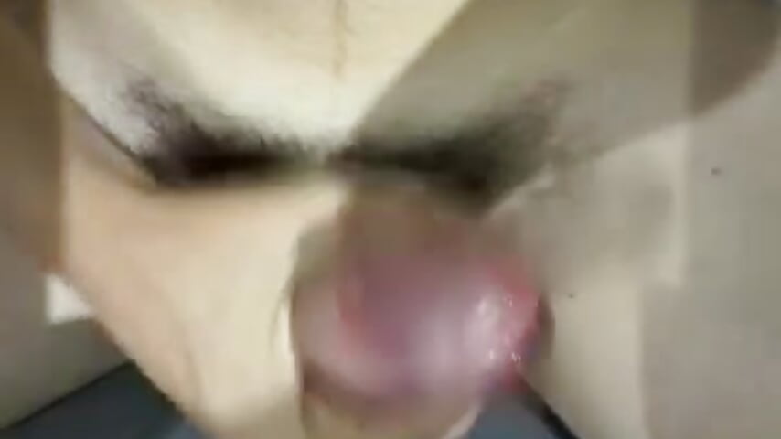 80857851481__AA10F9A2-68BE-4D0B-BC6D-CF4097E465CF