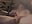 I shot my camera 📸💦 - video by tommyjoyer cam model