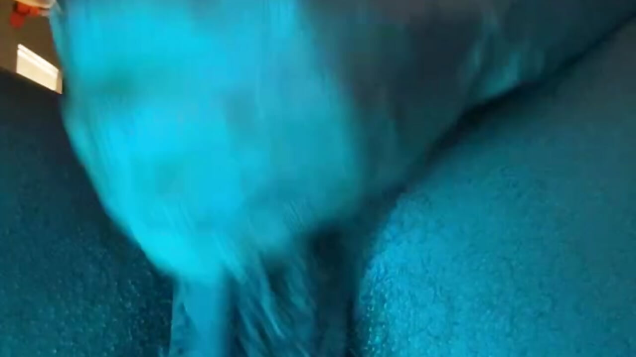 [29 Jul 04:16] cum see - clip cu MidnightFlexxx model videochat