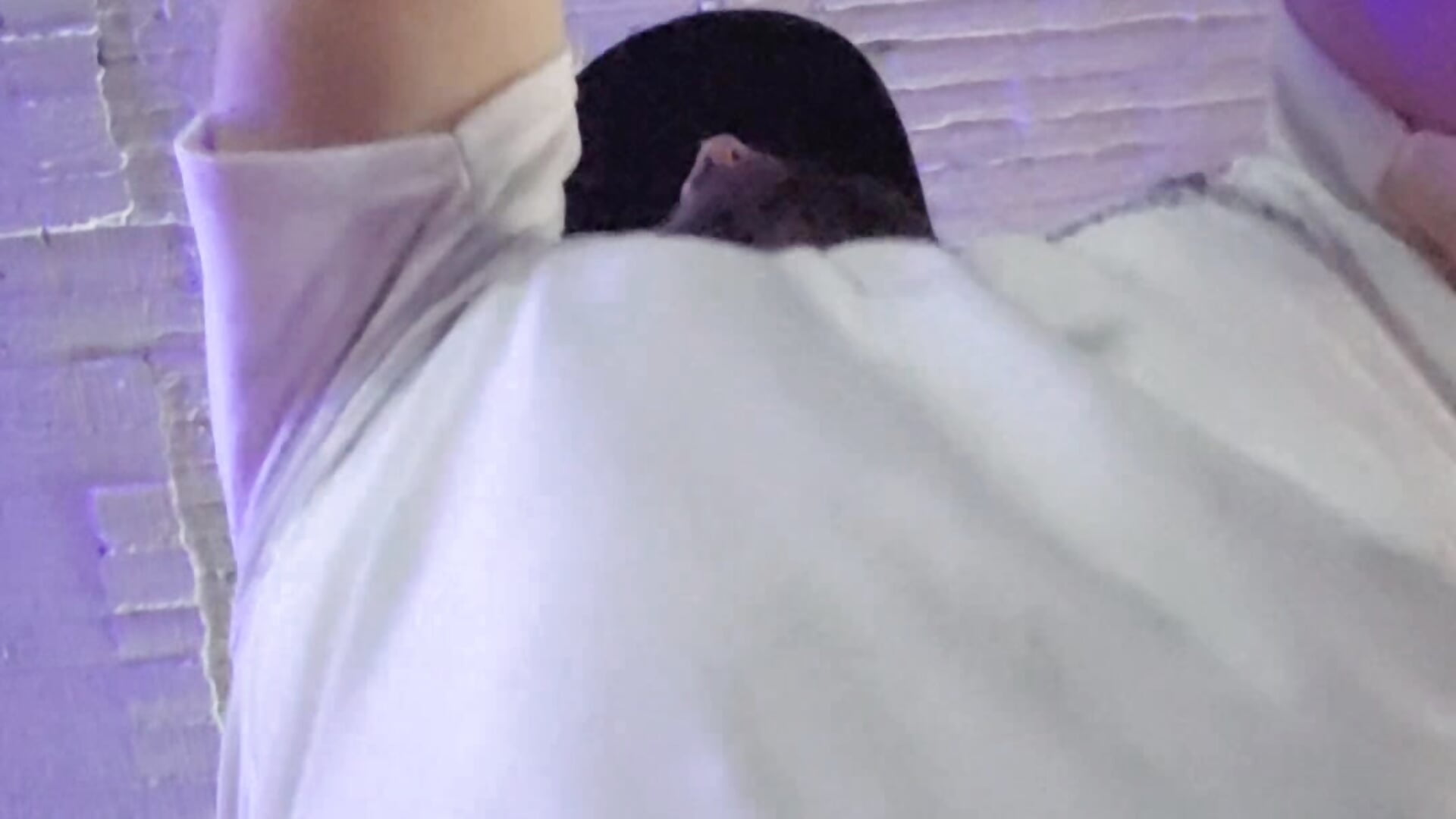 Hard training!!🔥🔥 - Vídeo de Just_Your_Dreamboy, modelo de vídeos