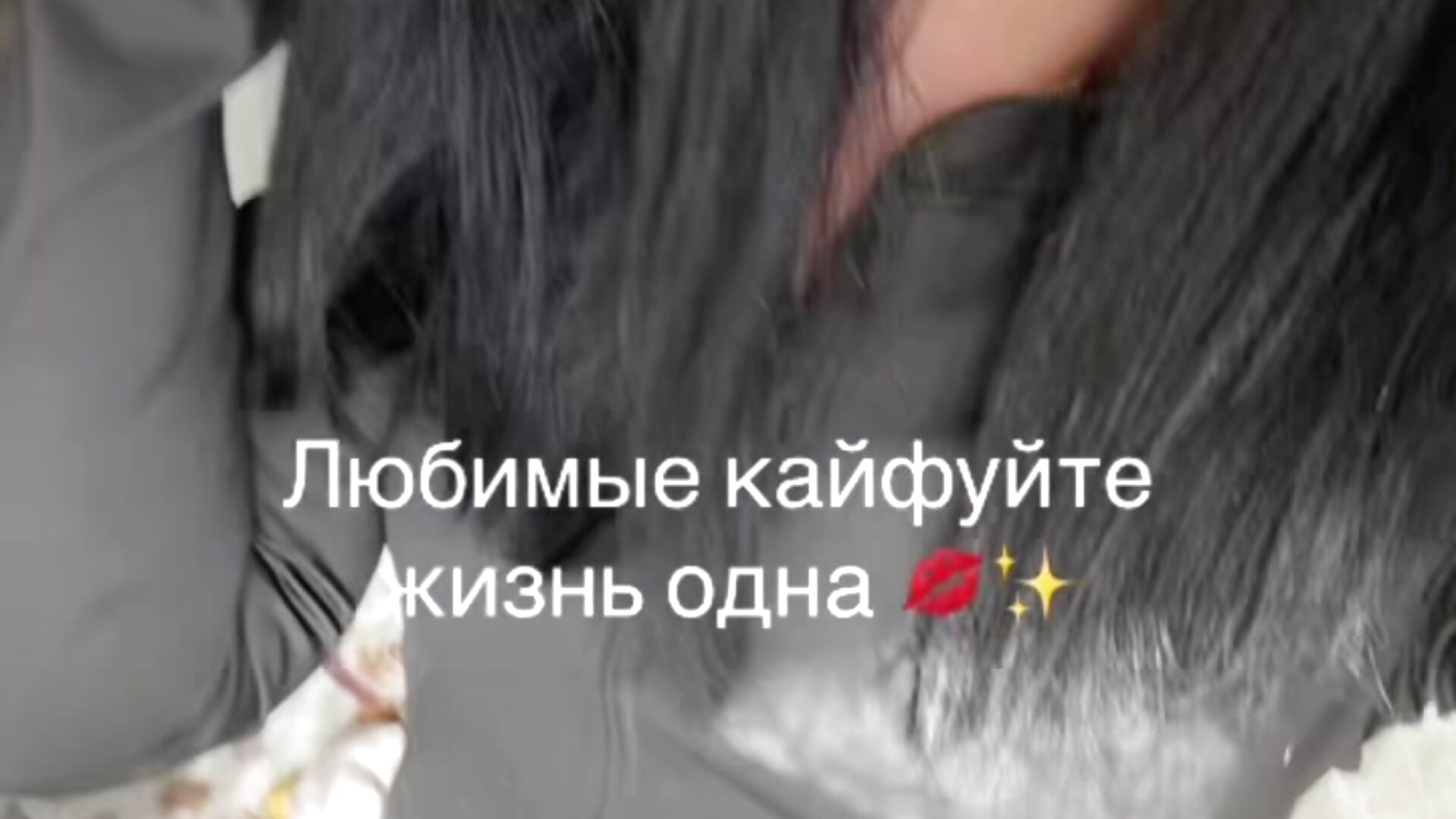 -302687245771962798