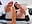 I like give you pleasure with my feet 😎🐾 - video by _anjum_ cam model