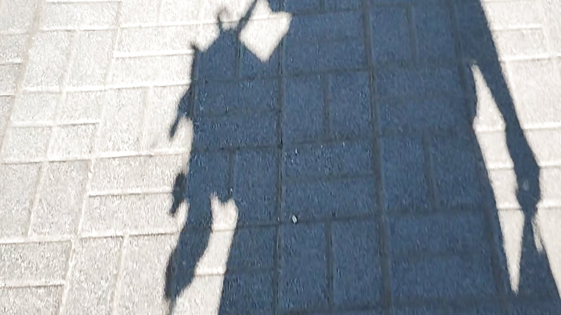 Walking on outside with magic cute Nekochan princess - βίντεο μοντέλου lovely_nekochan