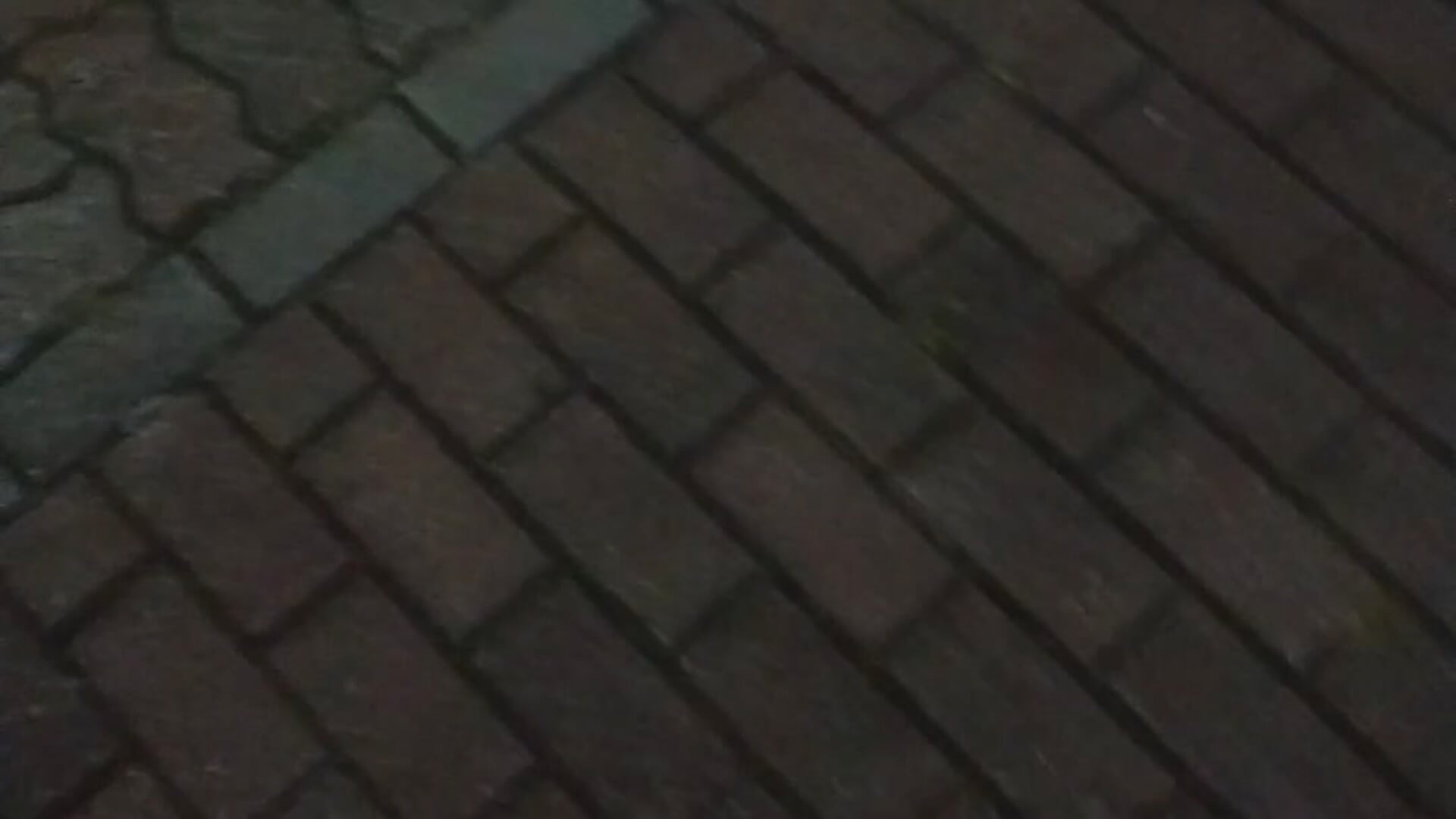 Part 1 / roleplay walking with Nekochan in night 😺 - lovely_nekochan主播的视频