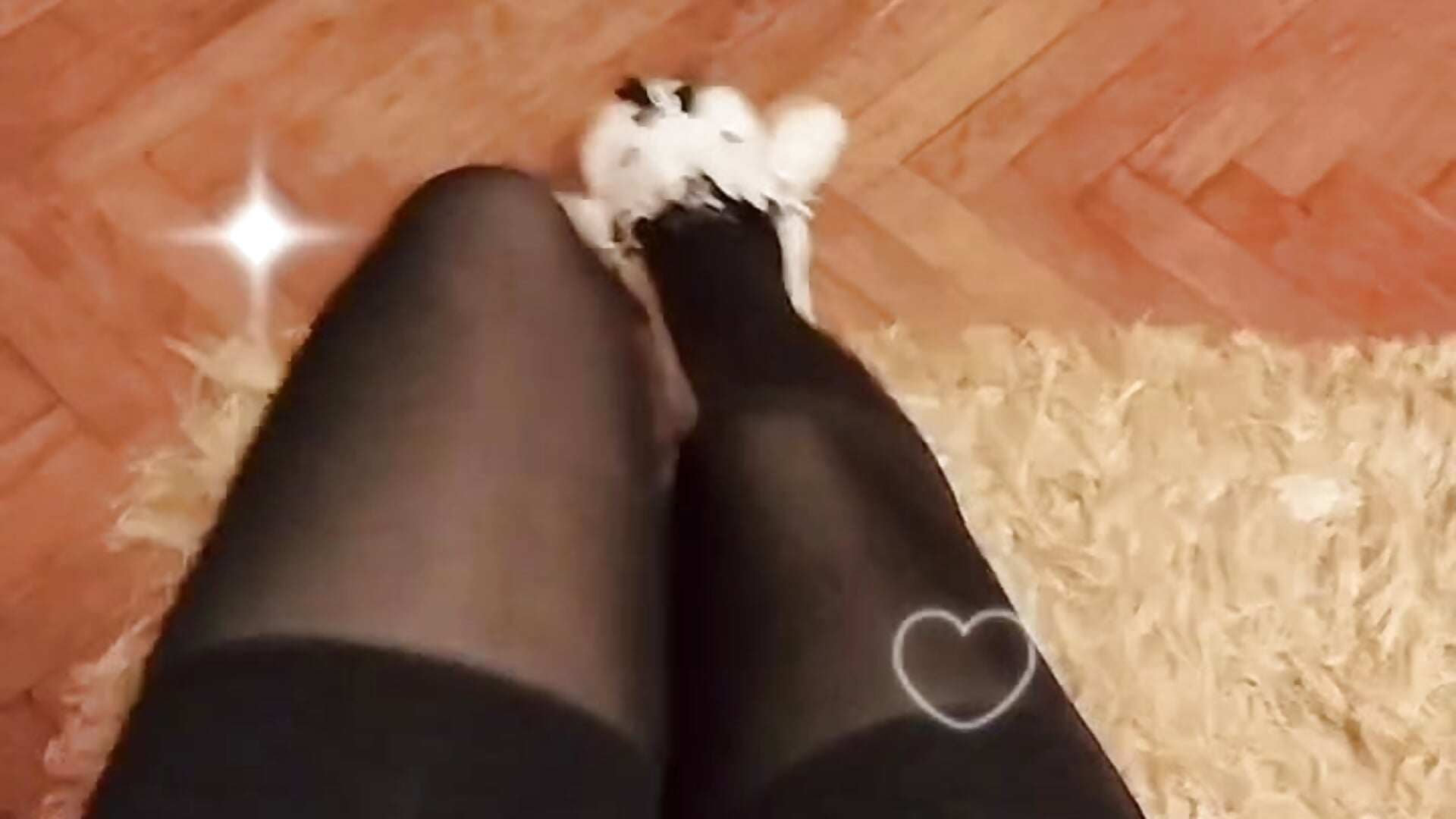 Neko princess legs - video by lovely_nekochan cam model