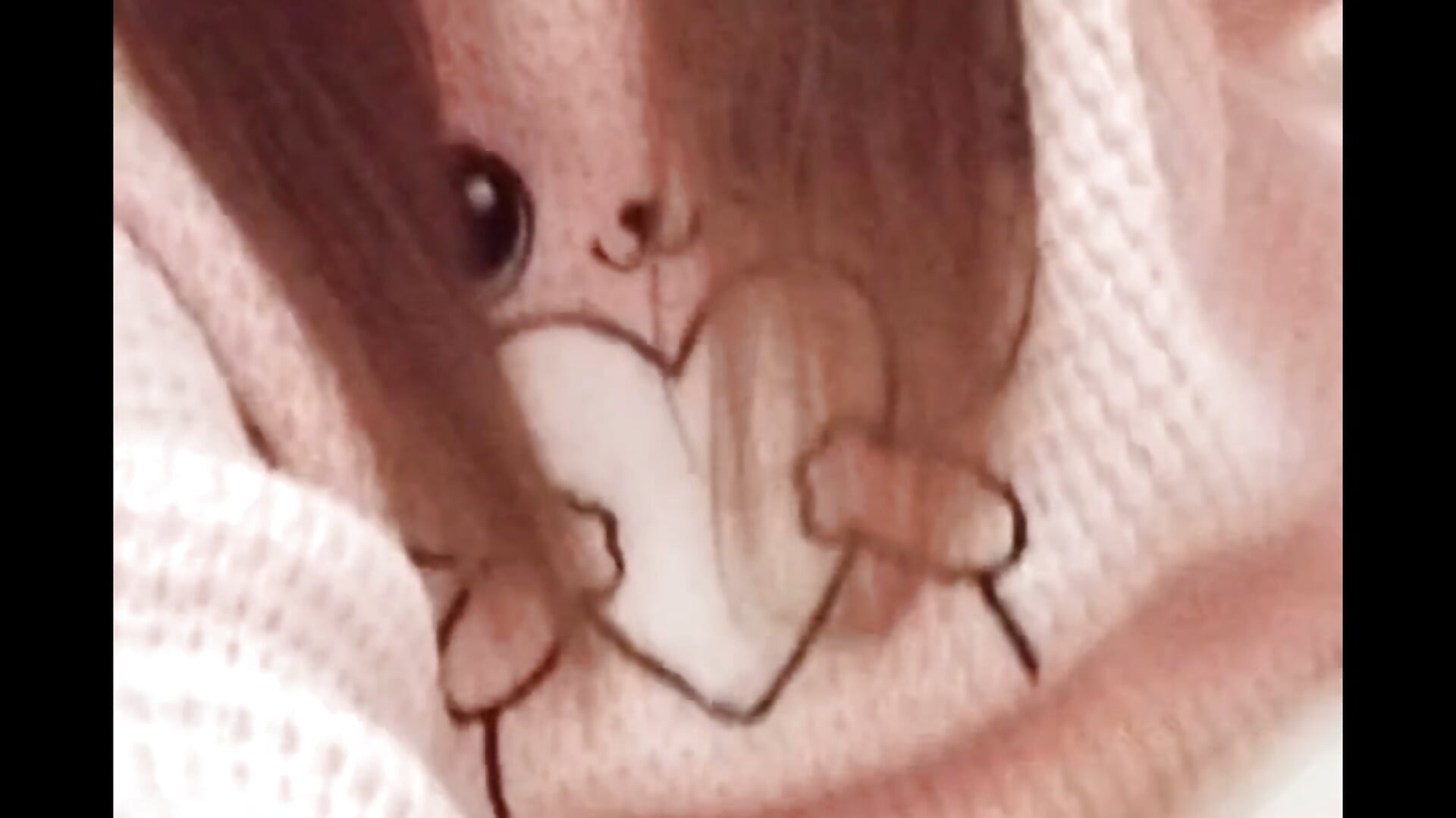 ニャー ニャー ニャー - video by lovely_nekochan cam model