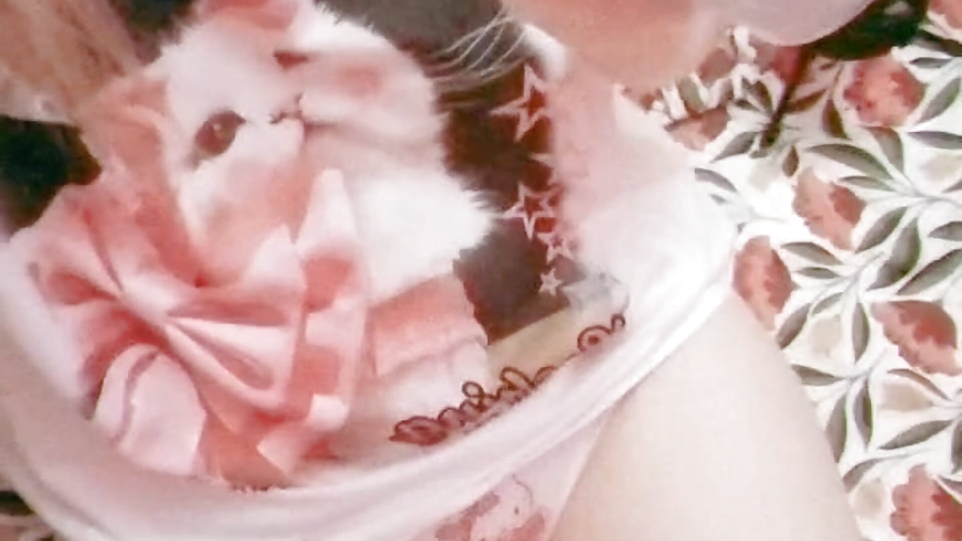17dec Neko princess 🐈🩷 - video by lovely_nekochan cam model