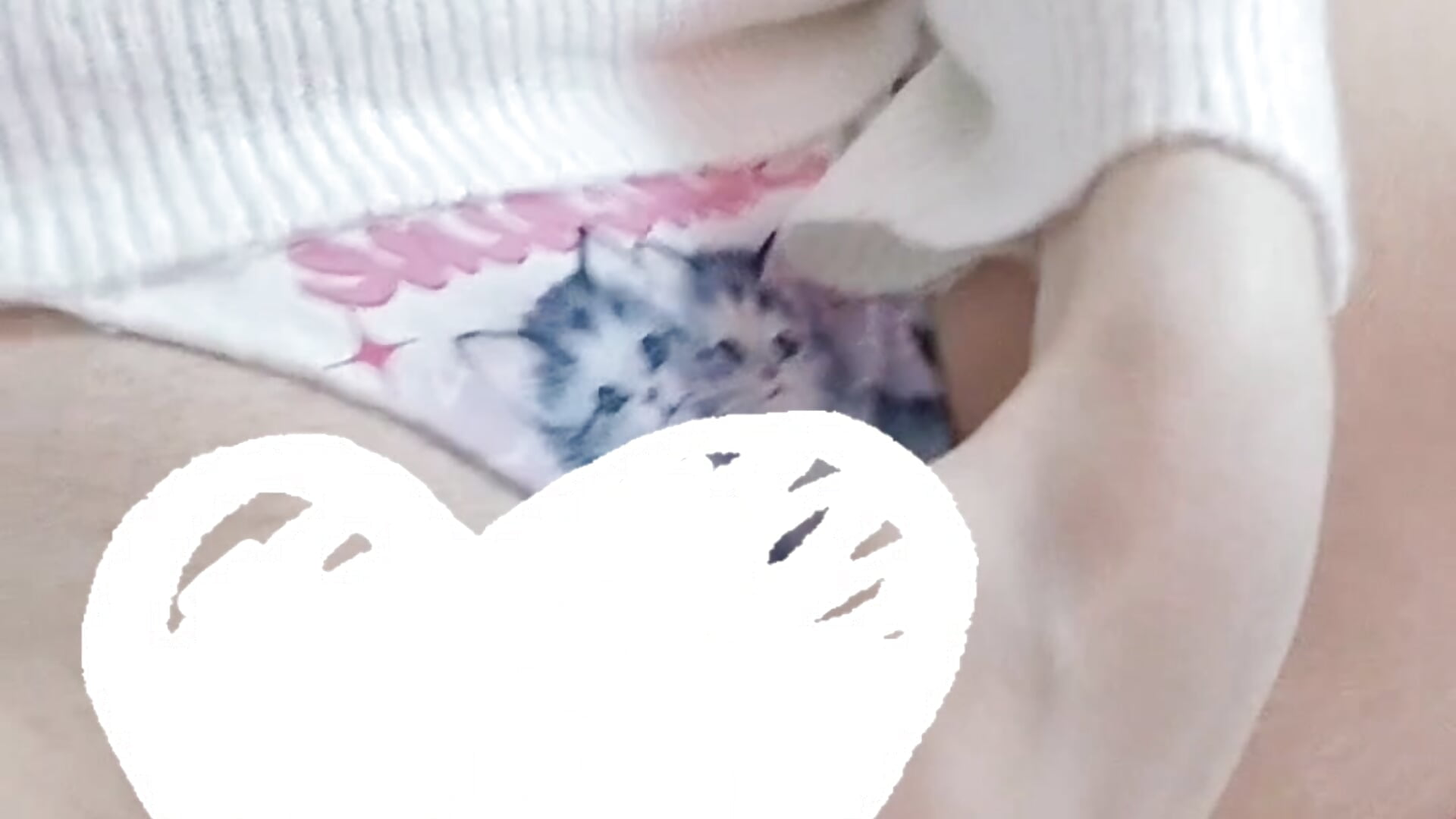 (censored) What Nekochan doing 🤭😺🩷 - βίντεο μοντέλου lovely_nekochan